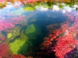 Где то видимо рядом....