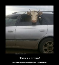 Свежая подборка автоприколов