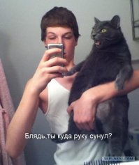 25 фотографий, которые ваш мозг додумывает сам