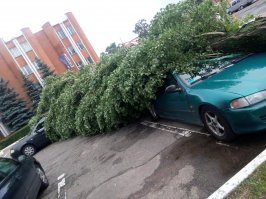 Минск, более 4000 деревьев повалено по стране.