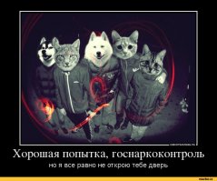 Сегодня к нам громко постучали и попросили выйти всех граждан от 25 до 49 лет