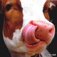 Венесуэлка покорила интернет благодаря языку, достающему до носа