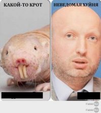 Ваше произведение после цензурного фильтра.