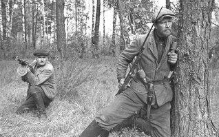 если подкорректировать, то вроде нормально должно получиться..