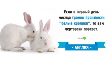 С этим автор тоже напутал. Громко произносить надо "Твой кролик написал!" И не только в начале месяца. Эта традиция пришла в Англию из России