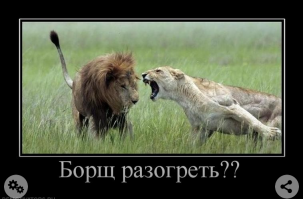 баян, но за эту картинку снова плюс )))))