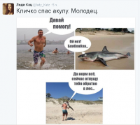 Этот жуткий хищник поджидает своих жертв, зарывшись в песок