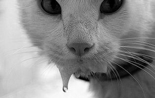 5 самых популярных советских салатов