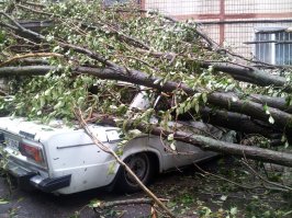 Вот что случилось с моим тестем почти год назад. Он собирает корпусную мебель, приехал к заказчику на обмер, поставил машину, зашел в подъезд, подошел к лифту и услышал страшный шум и сигналку. Вышел - и увидел вот это. Было это в г. Днепропетровск, район - Тополь-2. Тогда у нас по городу много деревьев повалило, сильный ураган был.