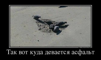 Ремонт дорог