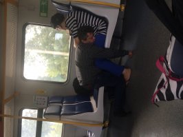 Смешные и пошлые картинки 