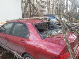 Мой бедный Лансер сентябрь прошлого года. У своего подъезда. Отремонтировал уже. По мнению управляющей компании - во всем виновата стихия.