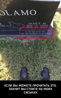 Свежая порция сумасшедшего кладбищенского юмора