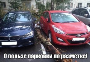 BMW молодец, а Hyundai аж уши со страху сложил