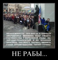 Солянка для Майдана. Часть 159