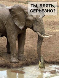 ..шли годы