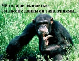 13 на удачу: приметы, которые вас развеселят