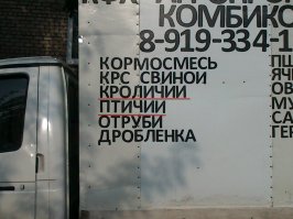 Никто не знает, что за звери?