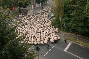 любителям игры Pokemon Go, посвящается....