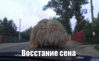  Смешные картинки  из соц. сетей 