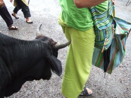 это я в Индии чуть девственность не потерял))