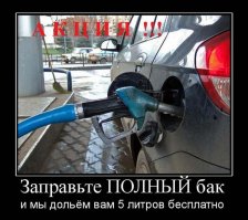 Смешные и пошлые картинки