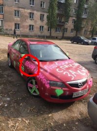 Что они там всё время едят ?