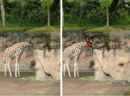 Мне сначала показалось, что камень-монстр зажевевал голову жирафа :)