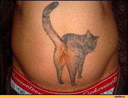 26 замурррчательных татуировок с котиками