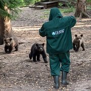 невидимая... полный инвизибл