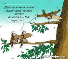 А еще они летают