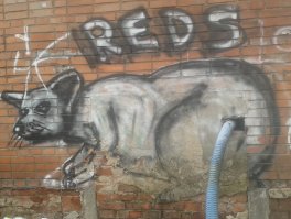 Подмосковные   умельцы.  Хвост   это  водосток.