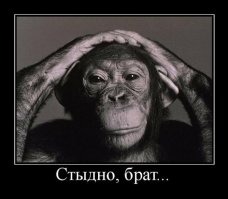 В Екатеринбурге представители ТСЖ вызвали автоматчиков, чтобы прогнать детсадовцев из парка