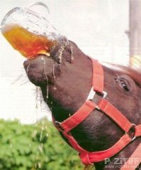 ну это нормально