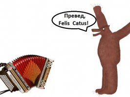 30 фотографий, которые были сделаны в идеальный момент