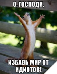 Мировой покемонопокалипсис, или Как игра Pokemon Go сводит людей с ума