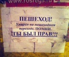 Свежая подборка автоприколов