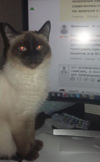 Вы расскажите это моей кошке, которая ест исключительно роял канин для сиамских, а последние 2 года роял канин для привередливых кошек.
Кошке 10 лет, ест его с 3месячного возраста, ветеринары всегда в шоке когда узнают что ей 10 лет, выглядит как 4х летняя кошка. Никаких проблем со здоровьем.