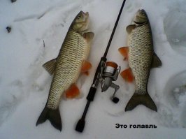 Первая рыбалка на спиннинг в этом году
