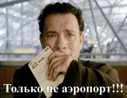 16 человек, которые отлично провели время в аэропорту