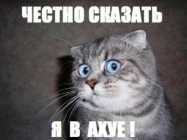  Смешные картинки  из соц. сетей 