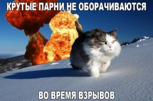 Смешные фото, демотиваторы, чтобы улыбнуло