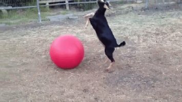 Может хватит уже сборную постить? Ну все уже....