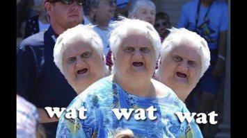 Тест для отъявленных эрудитов (15 вопросов)