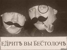 Искатели китов пропустили эту фантастическую сцену, просто посмотрев не в ту сторону