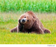 Как Google выращивает еду для своих сотрудников