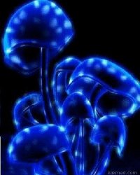 Как Google выращивает еду для своих сотрудников