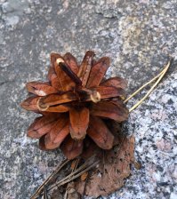 на самом деле,без обработки айфонамана фотает вот так