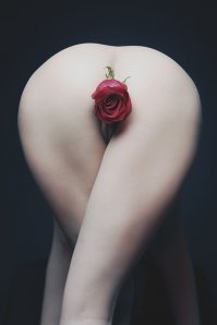 У вас на картинке - не роза!