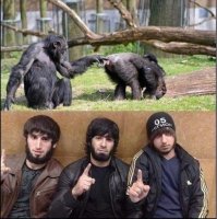 Пальцы тоже могут убивать